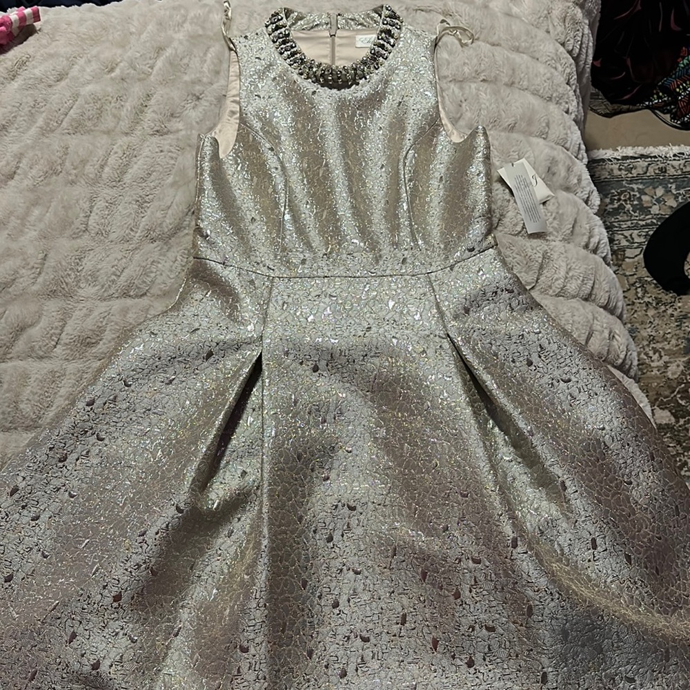 BRAND NEW DRESS- beautiful and perfect for a special occasion